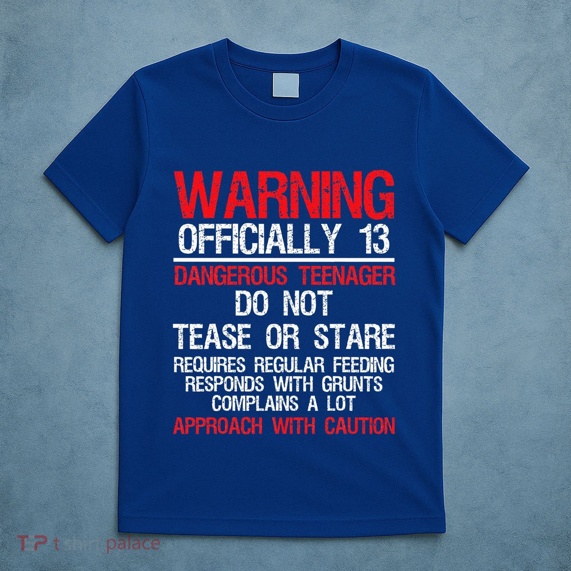 13 Years Old Warning Dangerous Teenager 13th Birthday T-Shirt