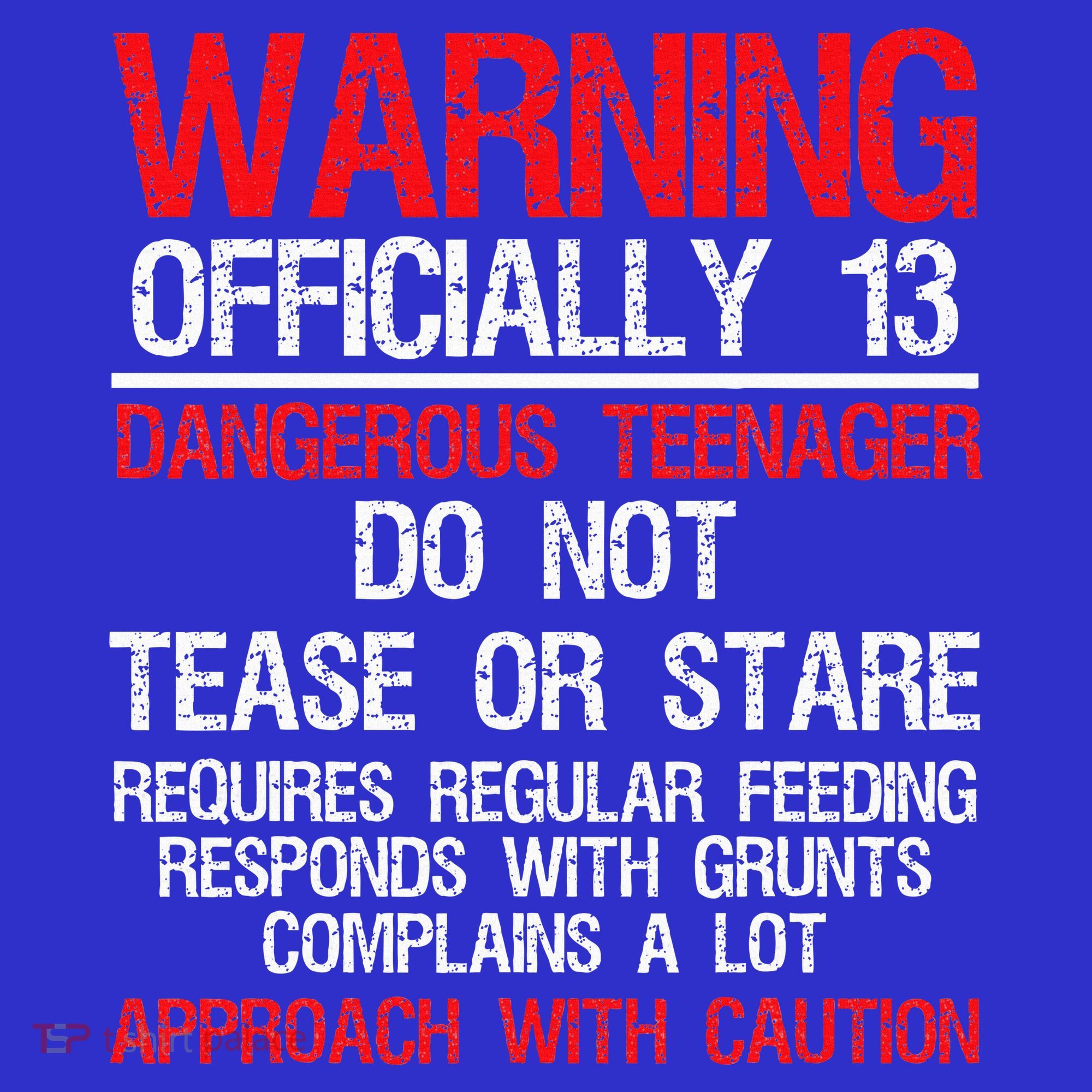 13 Years Old Warning Dangerous Teenager 13th Birthday T-Shirt