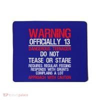 13 Years Old Warning Dangerous Teenager 13th Birthday Mousepad thumb 0