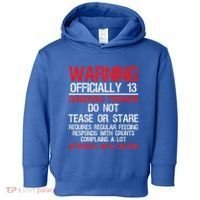 13 Years Old Warning Dangerous Teenager 13th Birthday Toddler Hoodie thumb 0