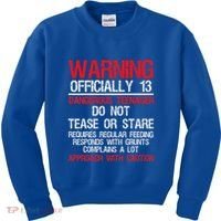 13 Years Old Warning Dangerous Teenager 13th Birthday Kids Sweatshirt thumb 0