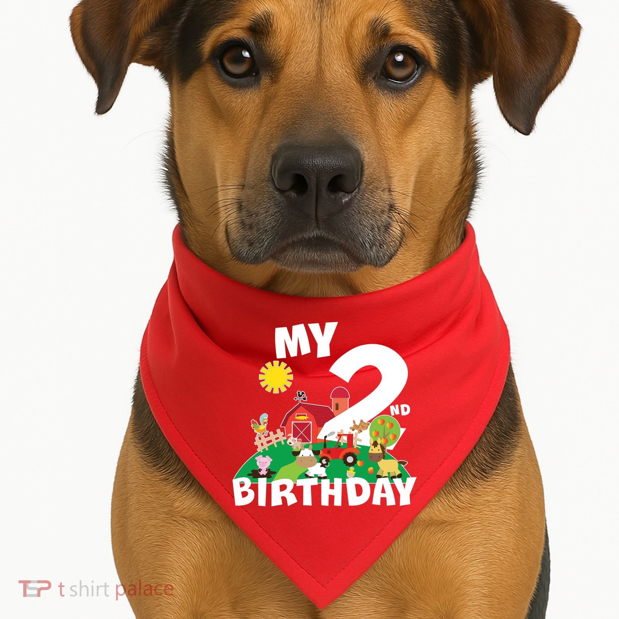 2 Year Old Farm My 2nd Birthday USA-Made Doggie Bandana