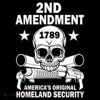 2nd Amendment 1789 Women's Hoodie thumb 2