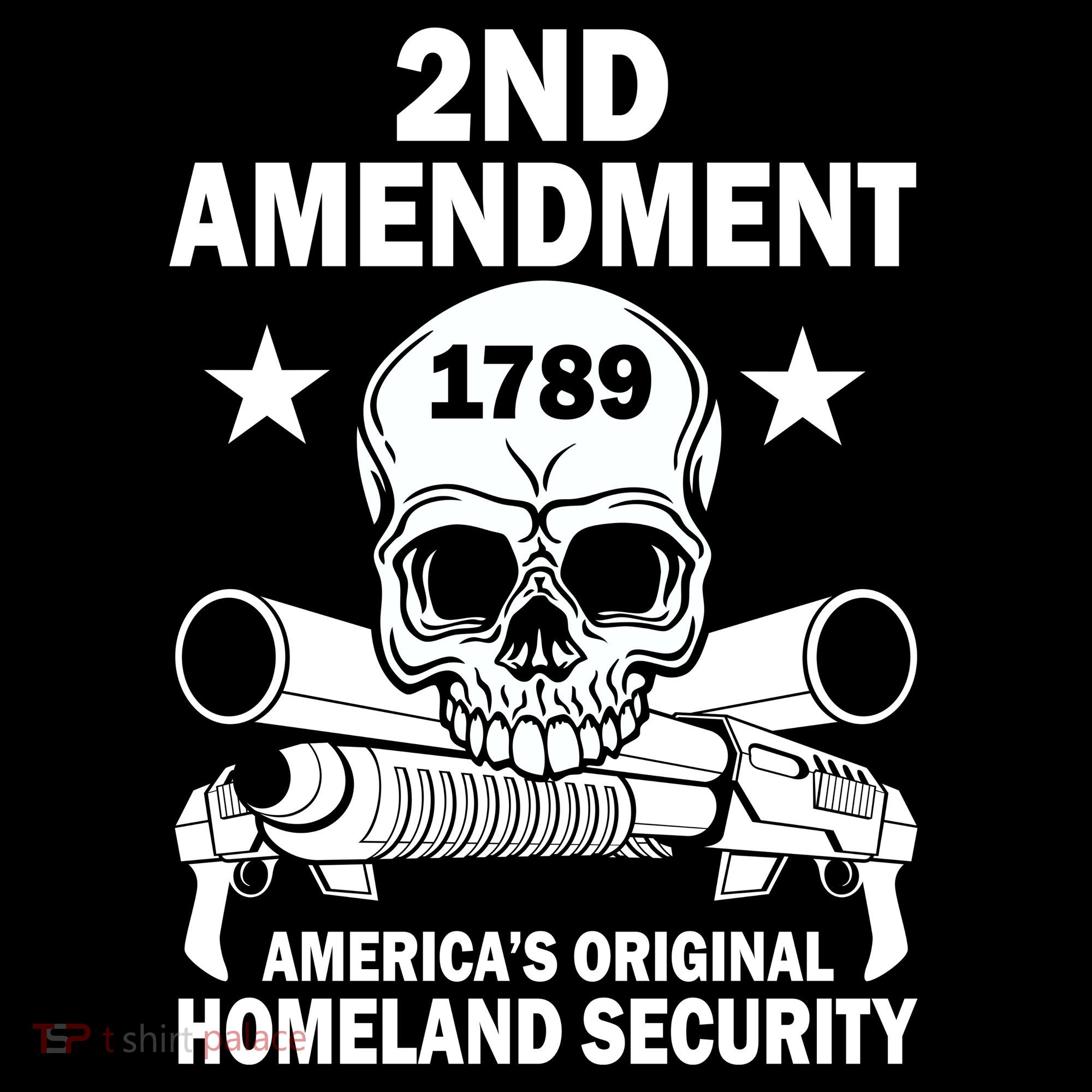 2nd Amendment 1789 Toddler Hoodie