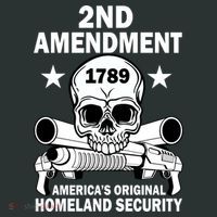 2nd Amendment 1789 Kids T-Shirt thumb 4