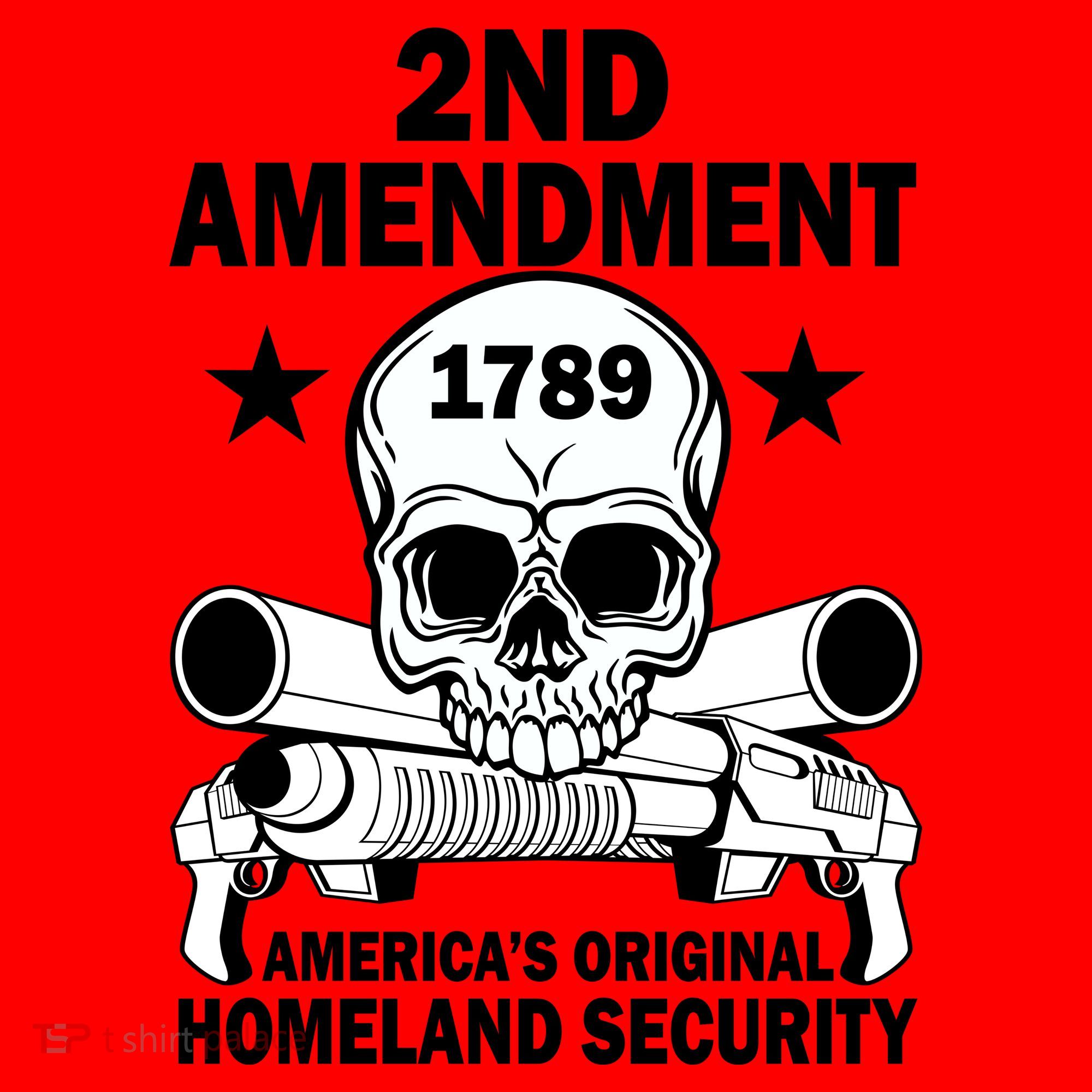 2nd Amendment 1789 Santa Hat
