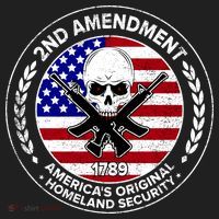 2nd Amendment America's Original Homeland Security 1789 Beanie thumb 2