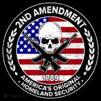 2nd Amendment America's Original Homeland Security 1789 Ornament thumb 1
