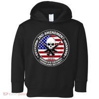 2nd Amendment America's Original Homeland Security 1789 Toddler Hoodie thumb 0