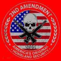 2nd Amendment America's Original Homeland Security 1789 Santa Hat thumb 1