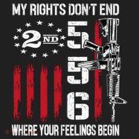 2nd Amendment Feelings America USA Patriotic Funny On Back Hat thumb 2