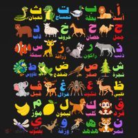 28 Arabic letters of the Arabic alphabet teacher Women's Hoodie thumb 2