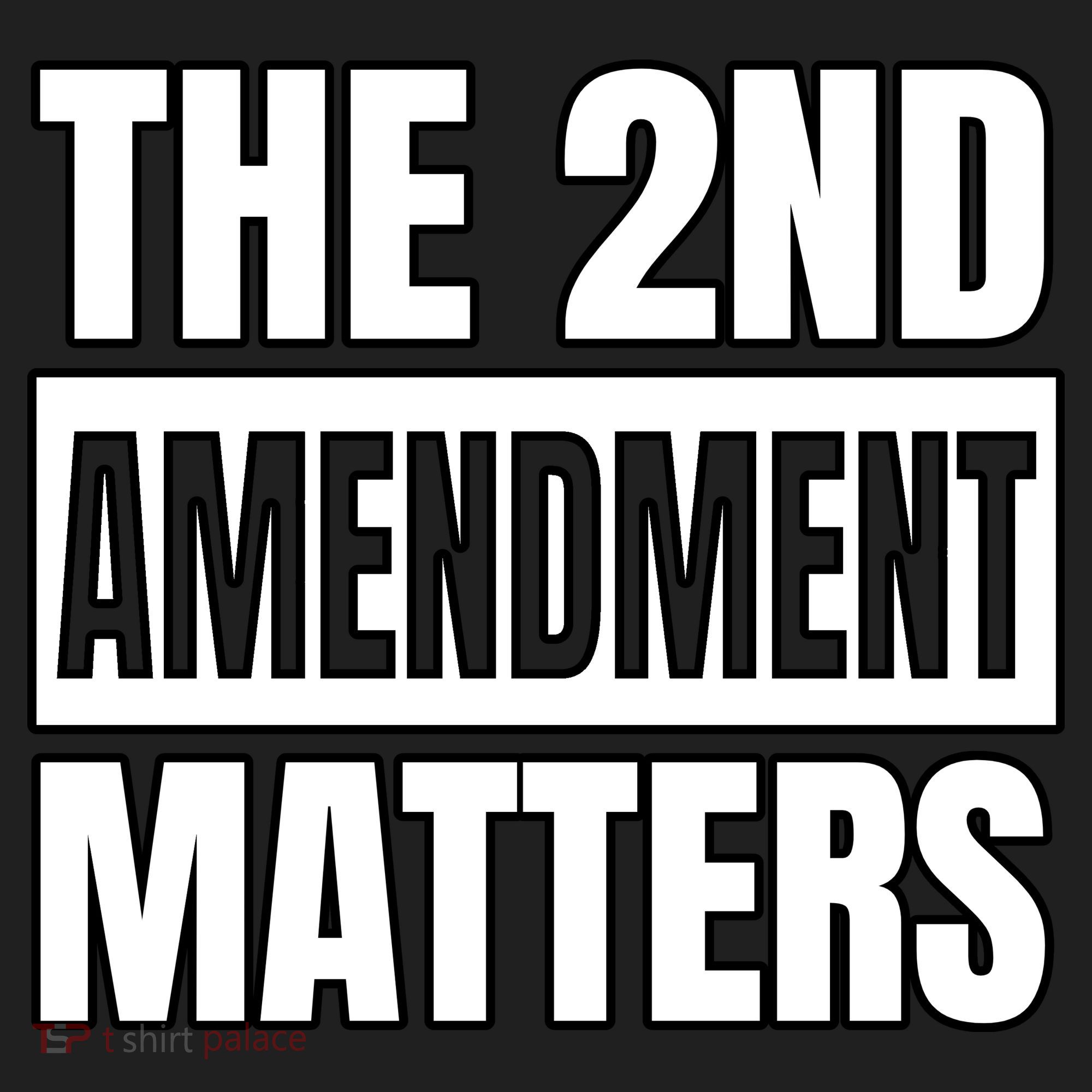 2nd Amendment Matters Beanie