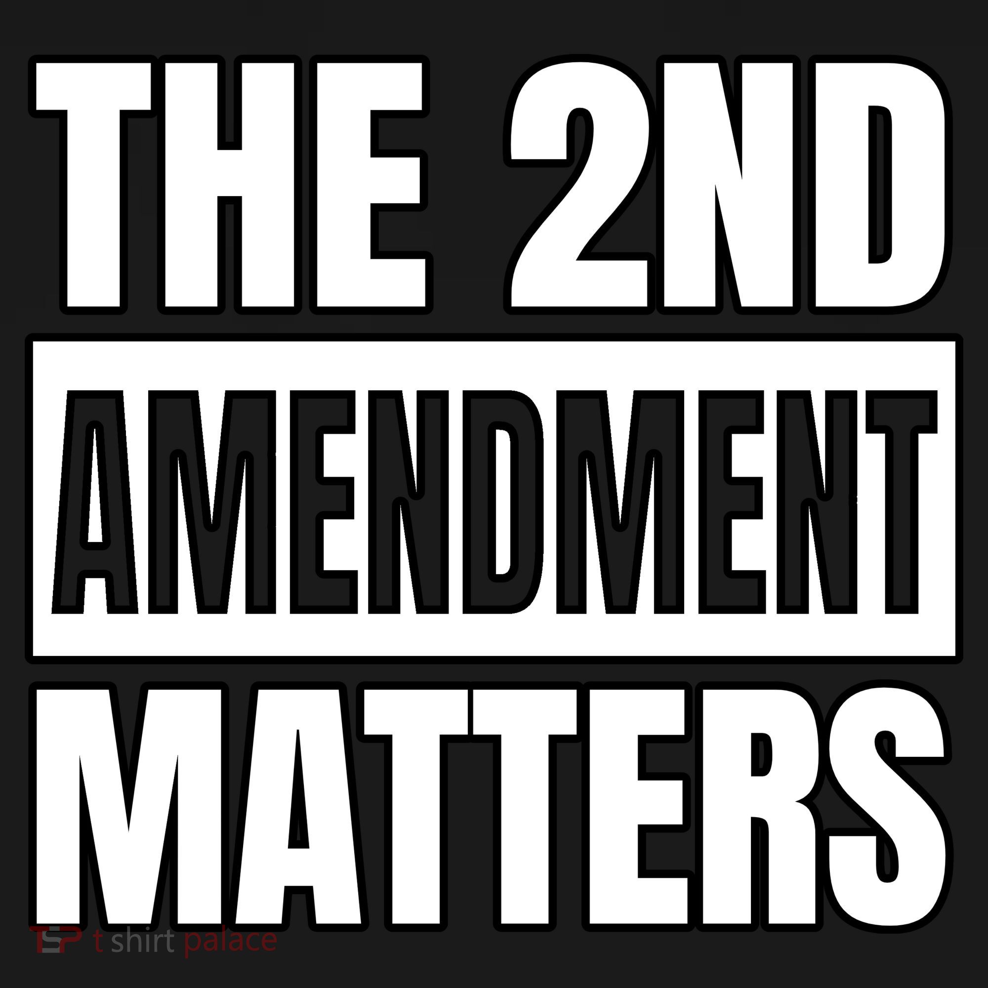 2nd Amendment Matters Polo