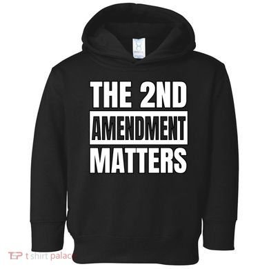 2nd Amendment Matters Toddler Hoodie