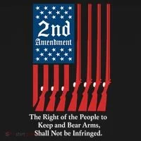 2nd Amendment Script Toddler Hoodie thumb 2