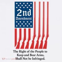 2nd Amendment Script Hat thumb 2