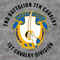 2nd Battalion 7th Cavalry 1st Cavalry Division Veteran Toddler Hoodie thumb 2
