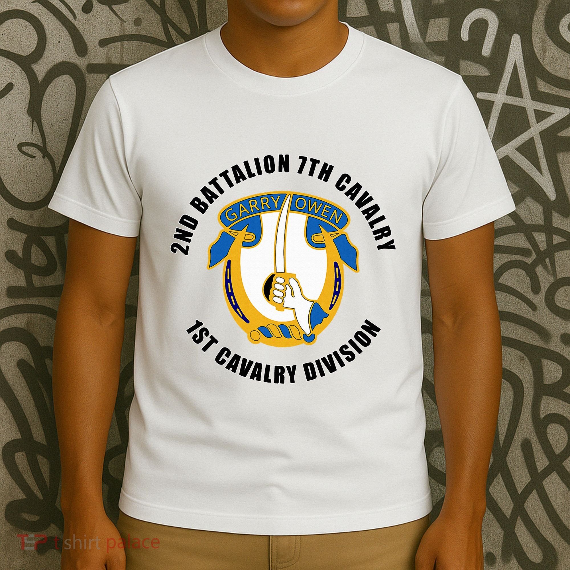 2nd Battalion 7th Cavalry 1st Cavalry Division Veteran T-Shirt