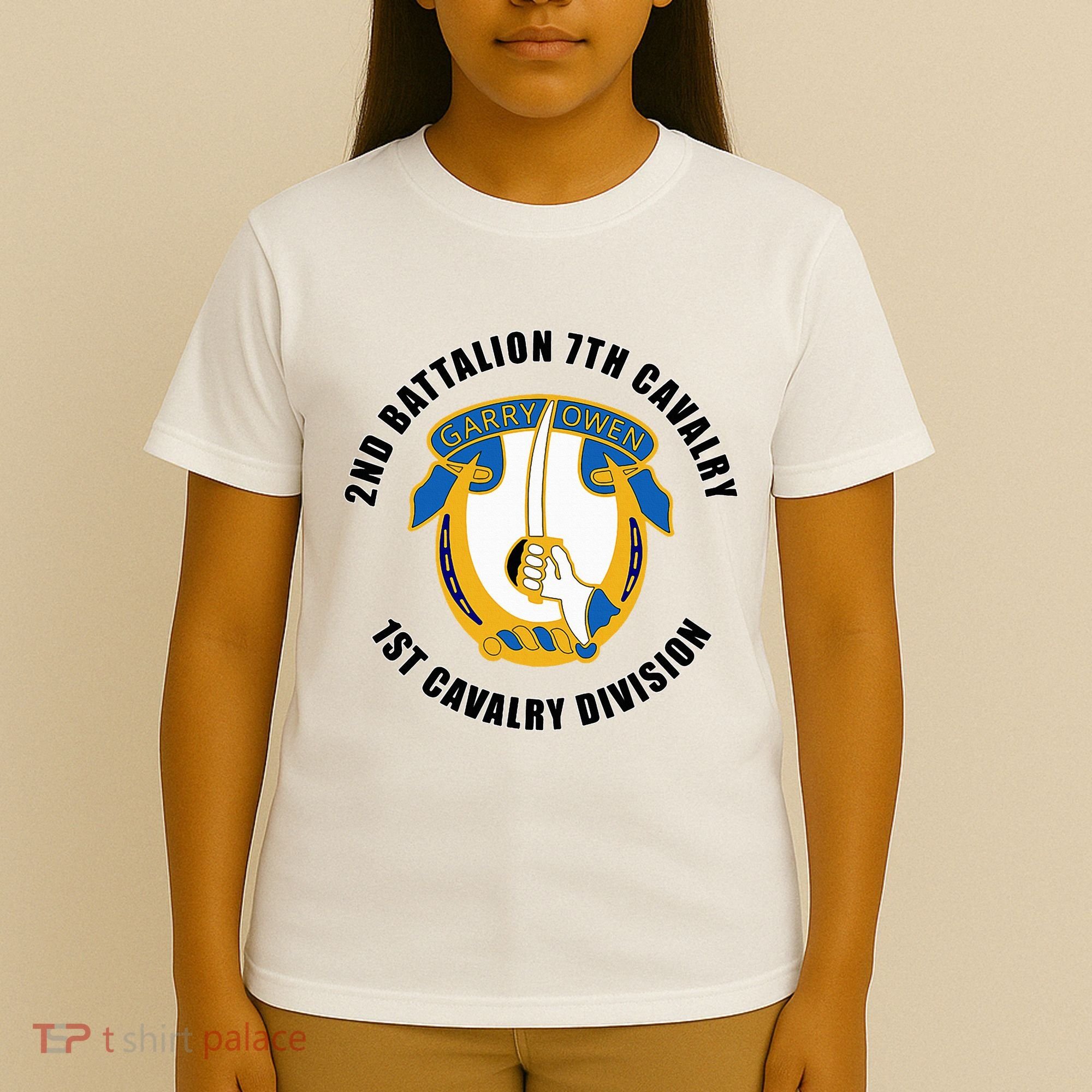 2nd Battalion 7th Cavalry 1st Cavalry Division Veteran T-Shirt
