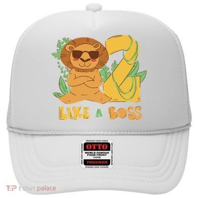2nd Birthday Like A Boss Lion Cute Gift Hat