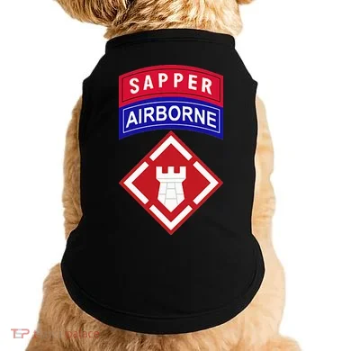 20th Engineer Brigade Patch W Airborne And Sapper Tab Doggie Tank
