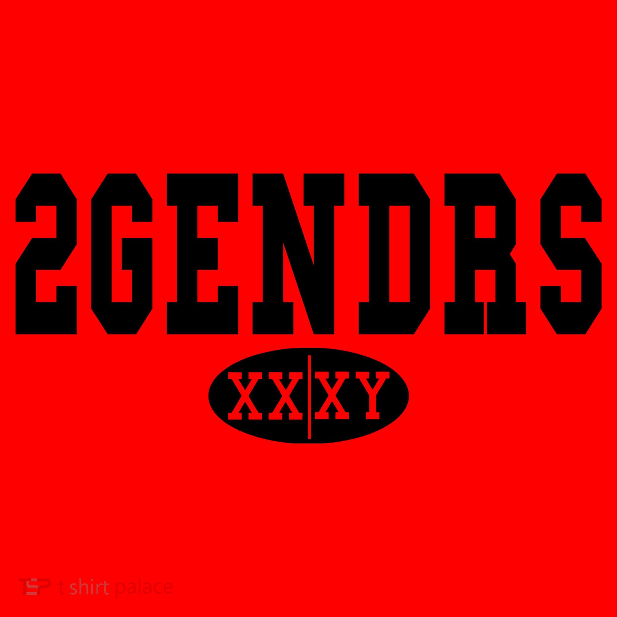 2 Genders Santa Hat