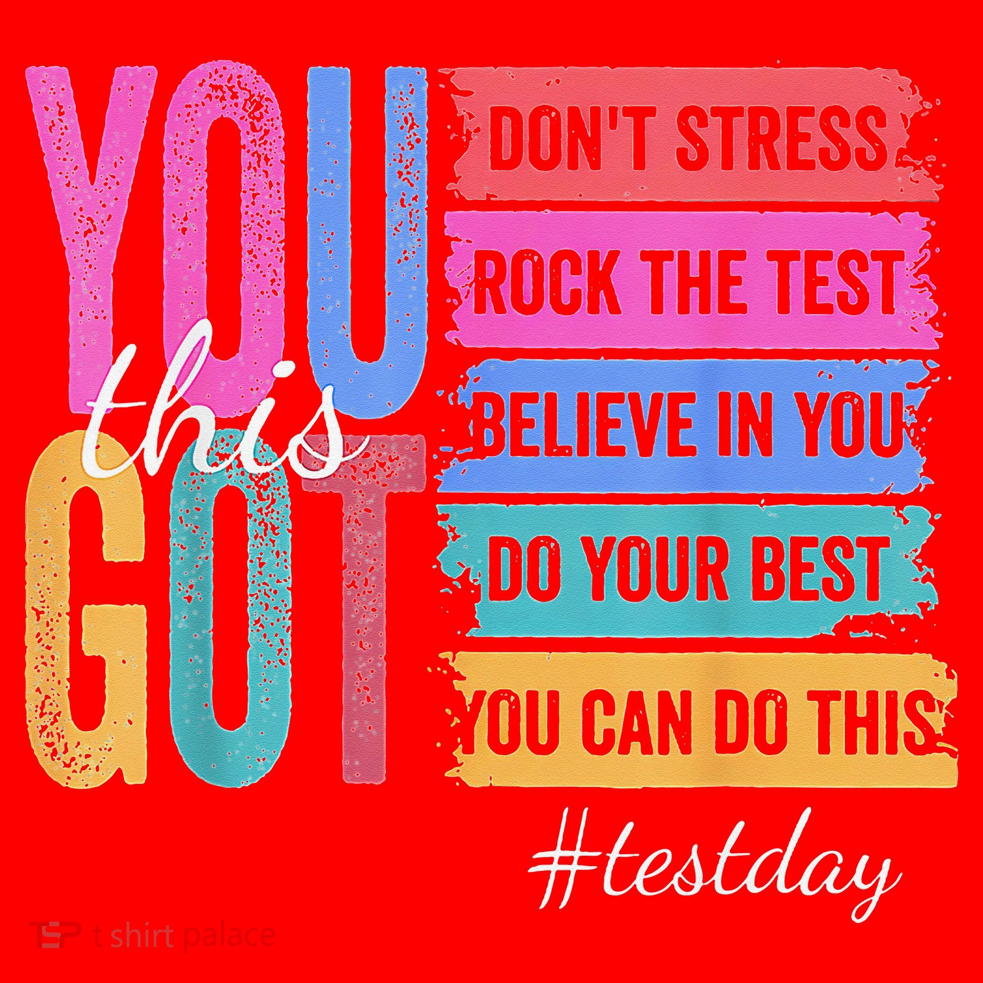 2You Got This DonT Stress Rock The Test Test Day Santa Hat