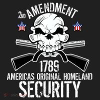 2nd Amendment 1789 Homeland Security Hat thumb 2