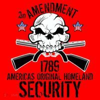 2nd Amendment 1789 Homeland Security Santa Hat thumb 1