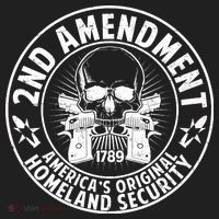 2nd Amendment America's Original Homeland Security Women's Sweatshirt thumb 2