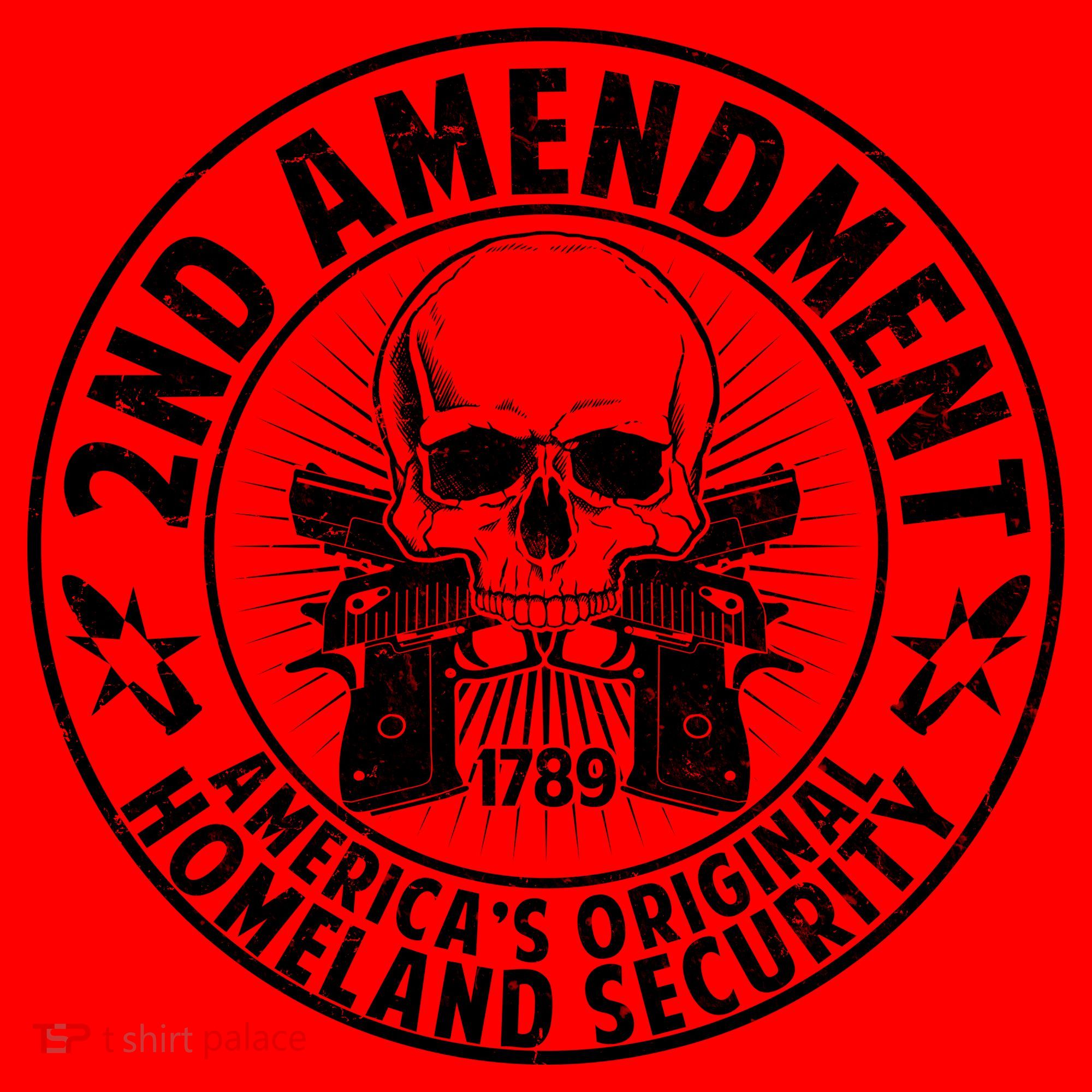 2nd Amendment America's Original Homeland Security Santa Hat