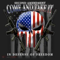 2nd Amendment Come And Take It In Defense Of Freedom Hat thumb 2