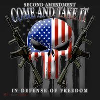2nd Amendment Come And Take It In Defense Of Freedom Toddler Hoodie thumb 2