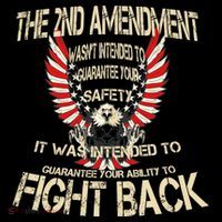 2nd Amendment Fight Back Backpack thumb 2