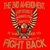 2nd Amendment Fight Back Santa Hat thumb 1