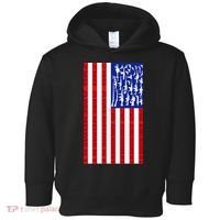 2nd Amendment Flag Toddler Hoodie thumb 0