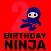 2nd Birthday Ninja  Santa Hat thumb 1