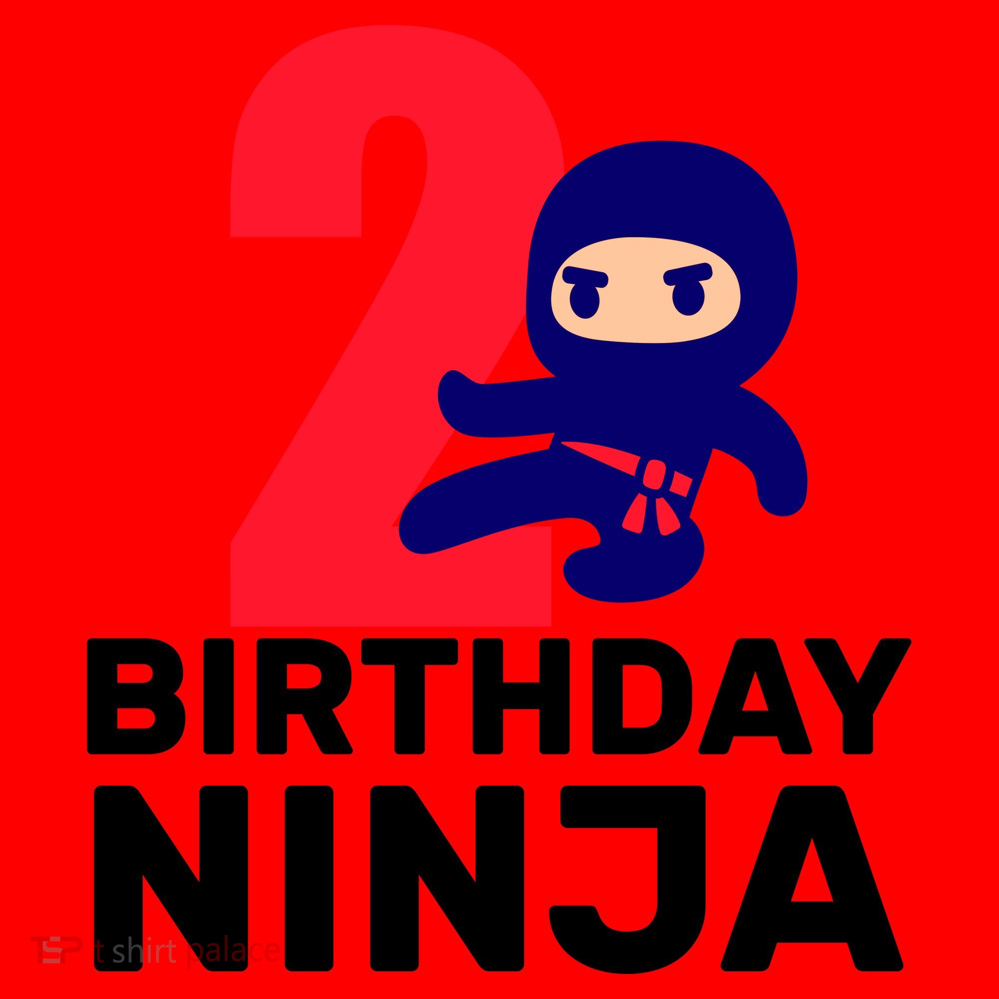 2nd Birthday Ninja  Santa Hat