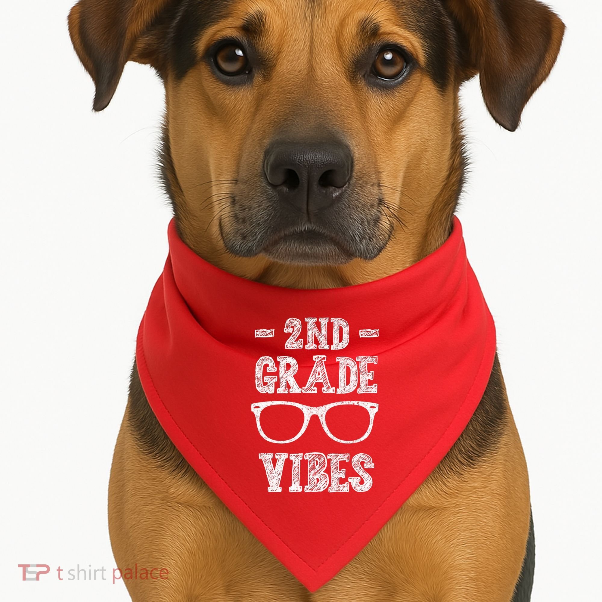 2nd Grade Vibes USA-Made Doggie Bandana