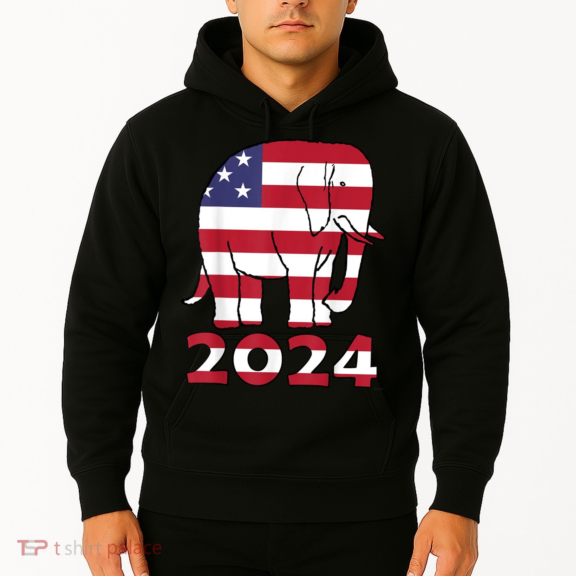 2024 Republican Support Hoodie