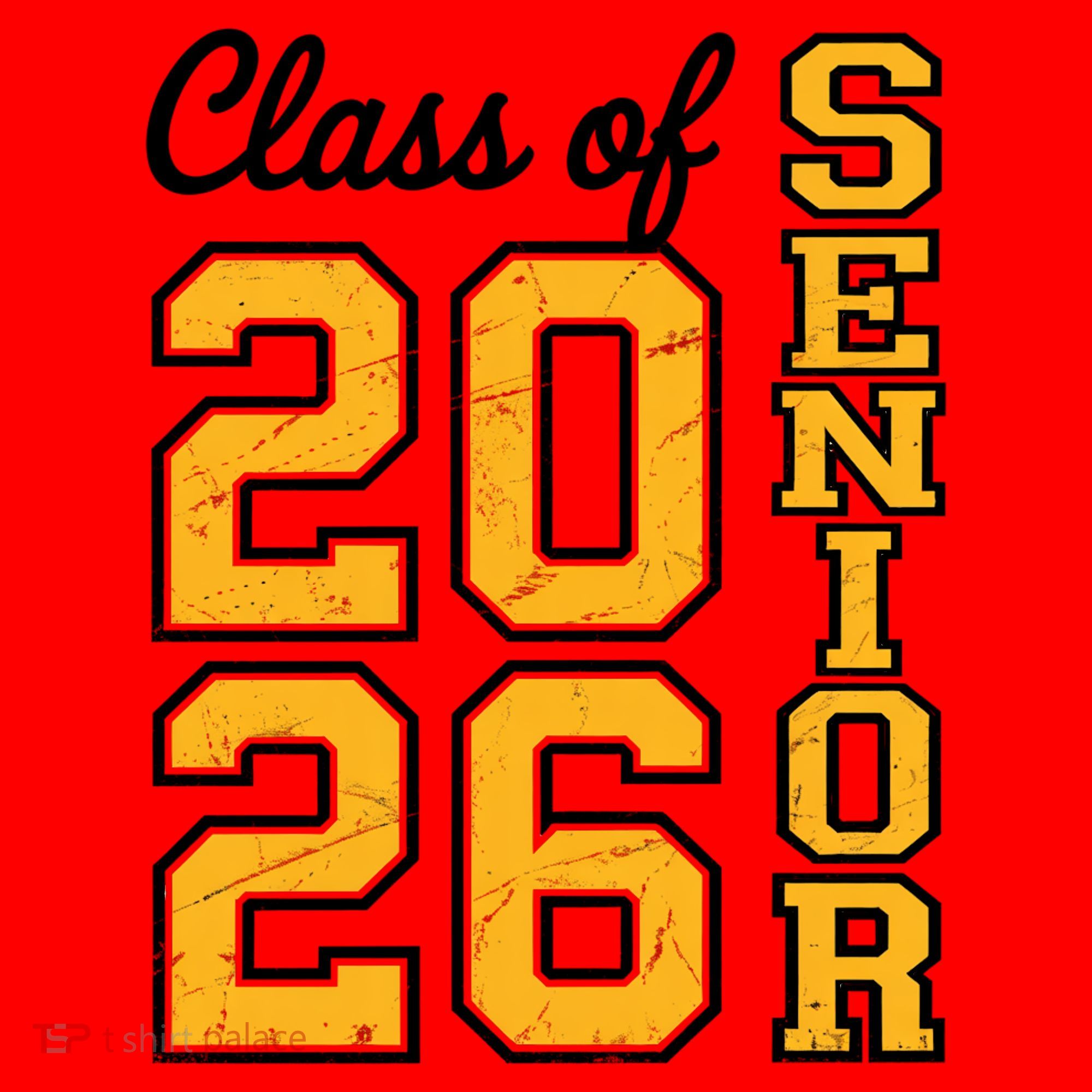 2026 Senior Graduation Santa Hat