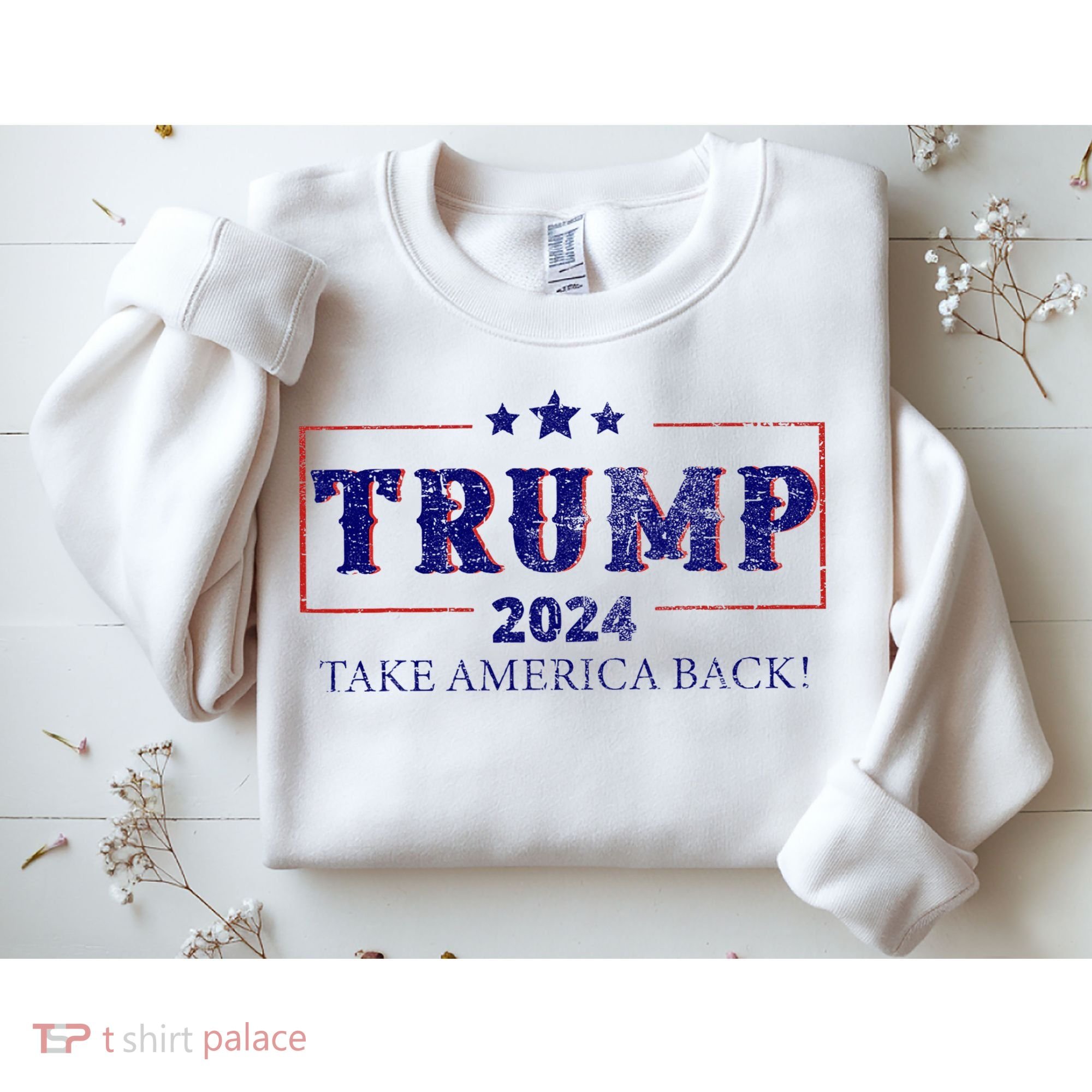 2024 Take America Back Trump Make America Sweatshirt