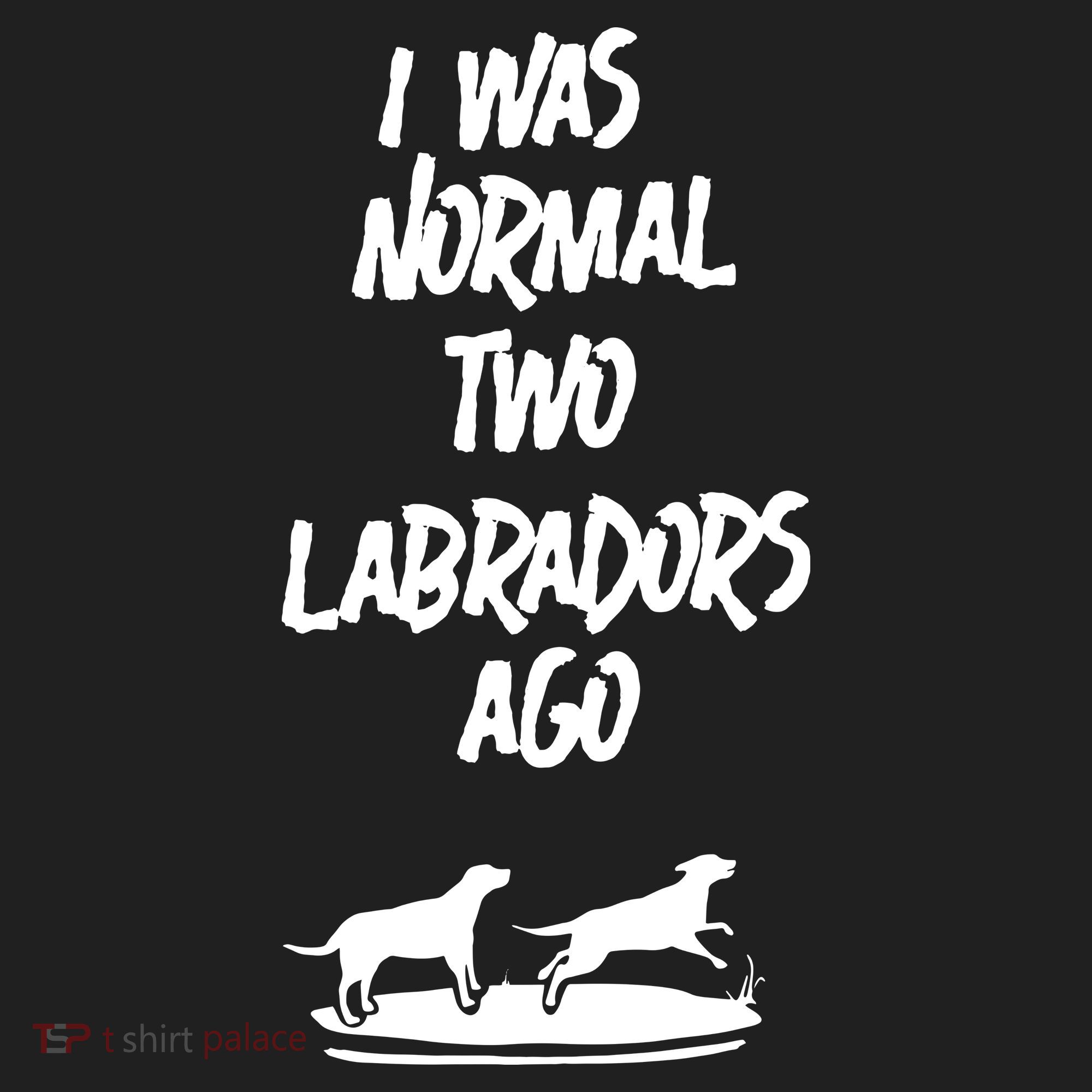 2 Two Labrador Retriever Ago Black Yellow Chocolate Lab Beanie