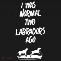 2 Two Labrador Retriever Ago Black Yellow Chocolate Lab Coaster thumb 2