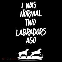 2 Two Labrador Retriever Ago Black Yellow Chocolate Lab Women's Hoodie thumb 2