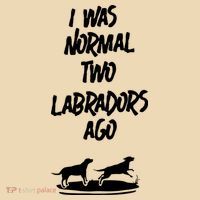 2 Two Labrador Retriever Ago Black Yellow Chocolate Lab Baby Bodysuit thumb 2