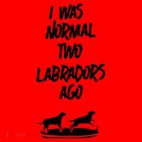 2 Two Labrador Retriever Ago Black Yellow Chocolate Lab Santa Hat thumb 1