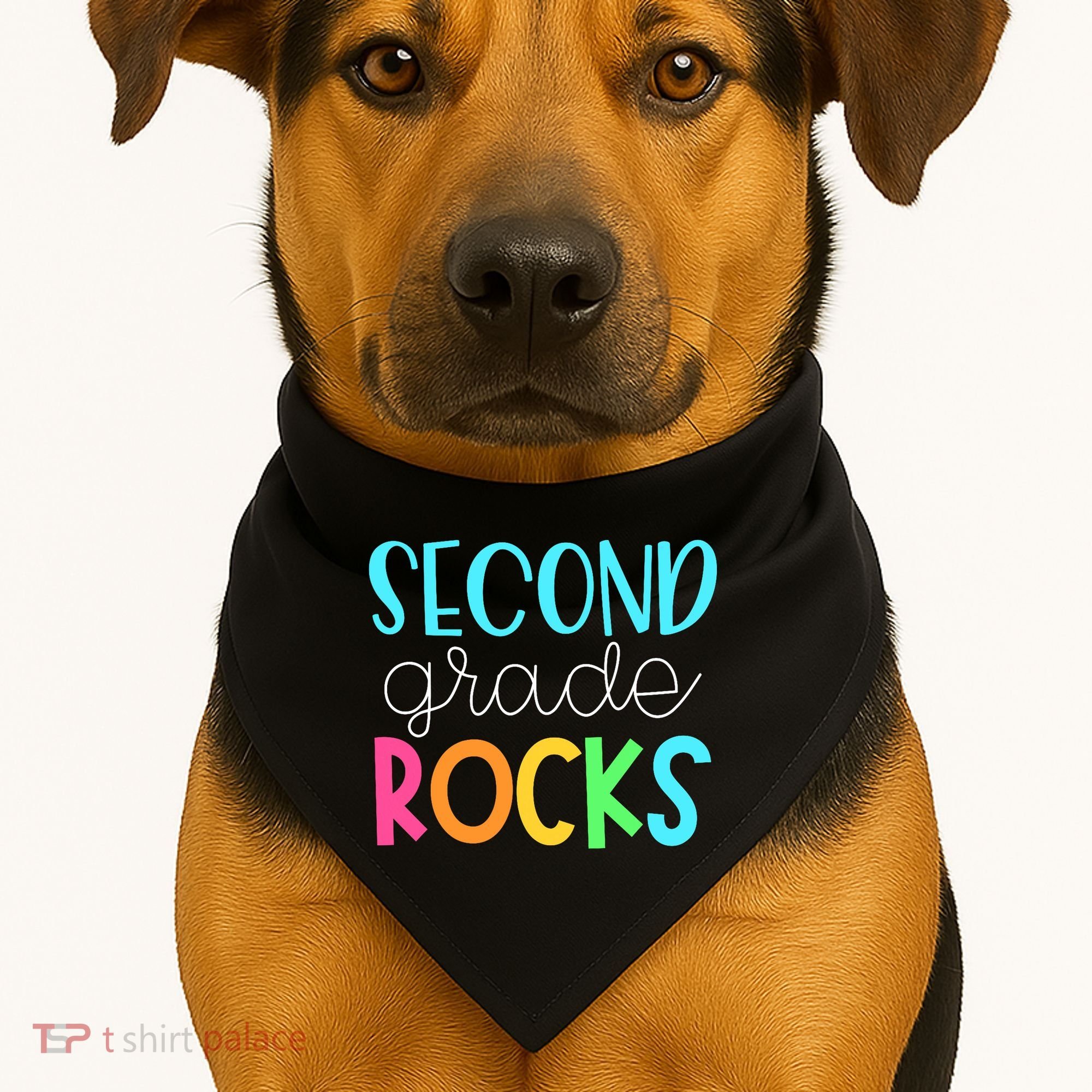 2nd Teacher Team - Second Grade Rocks USA-Made Doggie Bandana