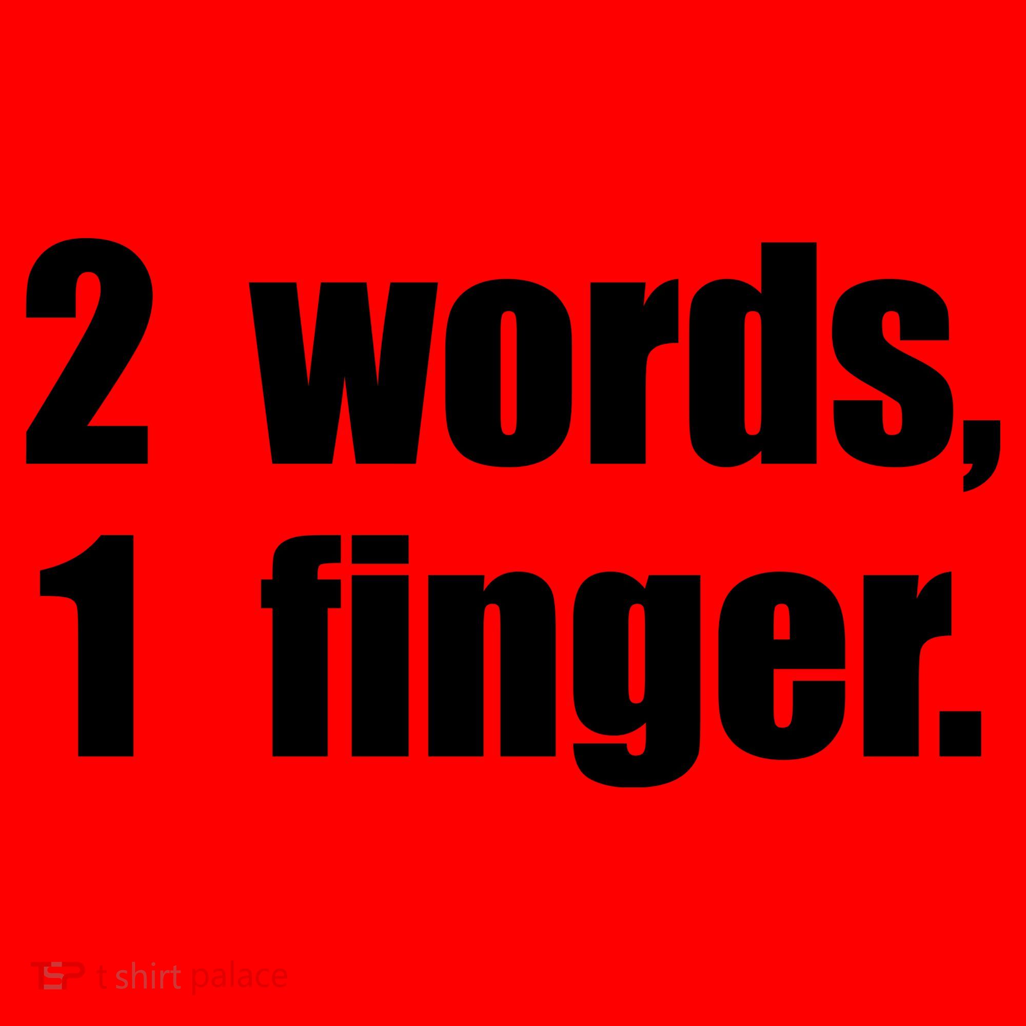 2 Words 1 Finger Funny Santa Hat